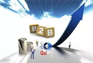 消費互聯(lián)網(wǎng)向產(chǎn)業(yè)互聯(lián)網(wǎng)轉型 B2B市場崛起與網(wǎng)絡技術服務的機遇