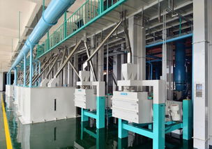 東方集團(tuán)現(xiàn)代農(nóng)業(yè)板塊加速新米生產(chǎn)，東方糧倉(cāng)方正園區(qū)全力沖刺旺季